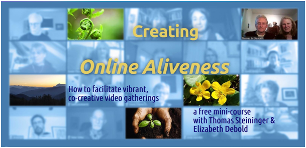 evolve creating online aliveness